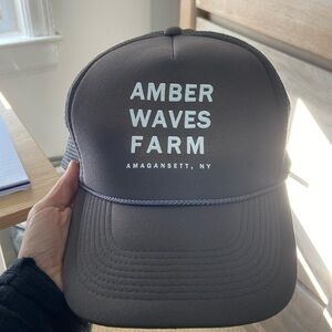 Amber Waves Farmer trucker hat in grey